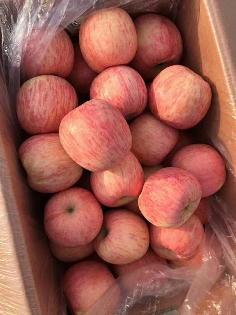 精品水晶红富士苹果口感脆甜条纹全红冰糖心苹果代发全国