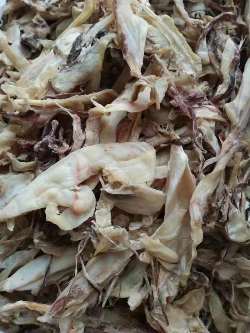 广西北海鱿鱼片丝水产海捕烧烤手撕大干鱿鱼片干货小大尤鱼鱿