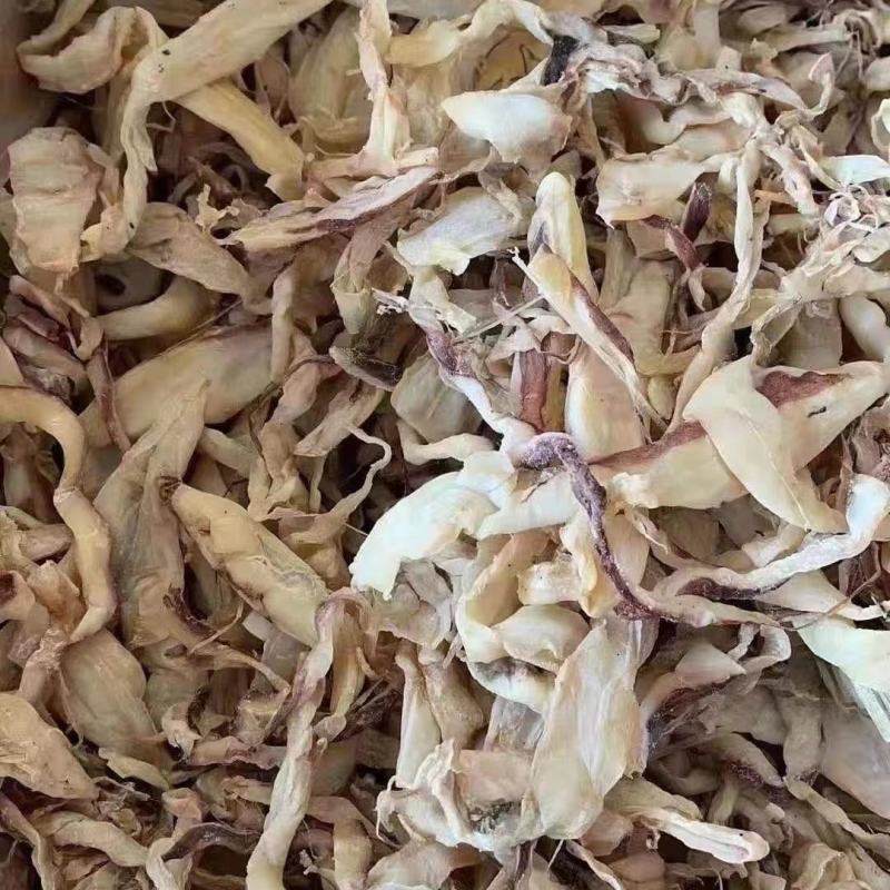 广西北海鱿鱼片丝水产海捕烧烤手撕大干鱿鱼片干货小大尤鱼鱿