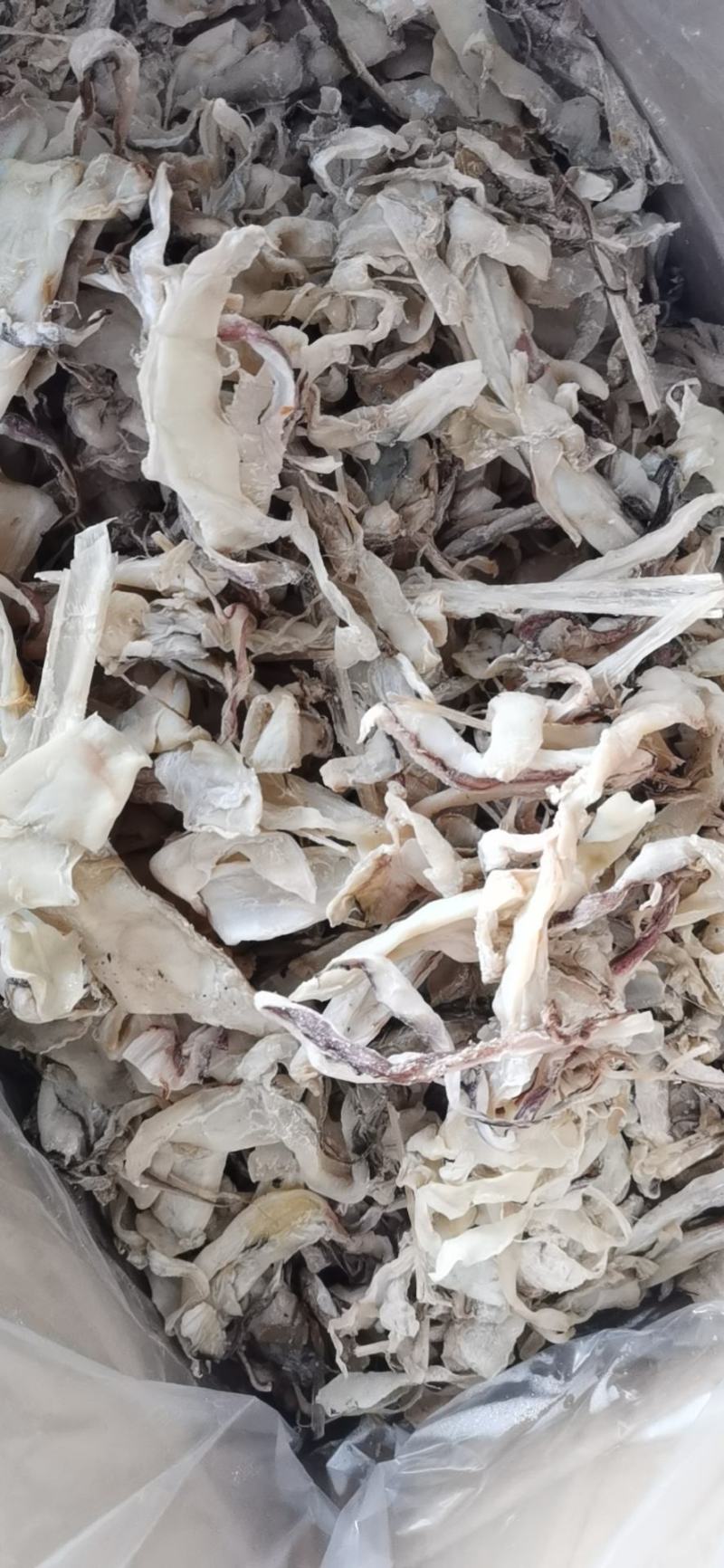 广西北海鱿鱼片丝水产海捕烧烤手撕大干鱿鱼片干货小大尤鱼鱿