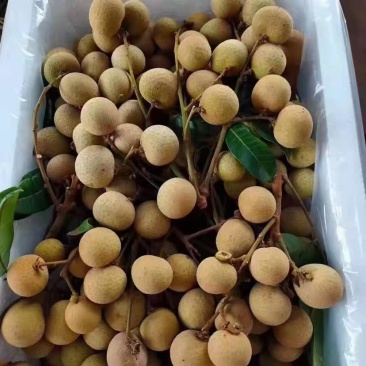 漳州市诏安县富硒水果蔬菜基地