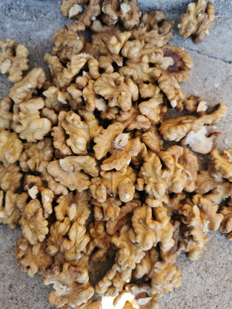 大量以上青皮核桃规格45以上可以代加工去青皮湿核桃