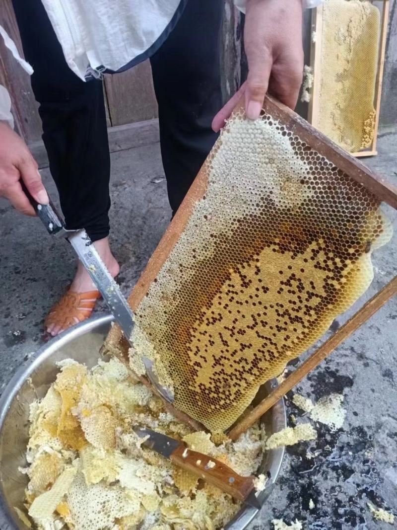 土蜂蜜销售