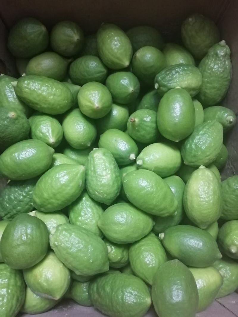 广东香水柠檬（无籽一级），台湾香水柠檬一级