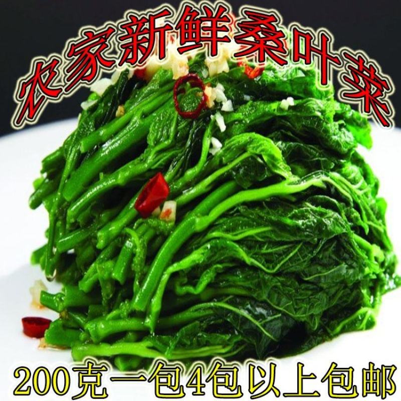 桑芽菜