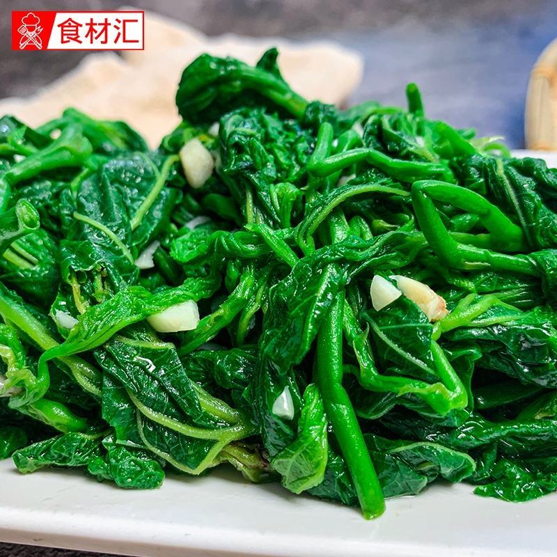 桑芽菜