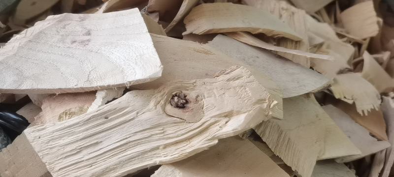 野生中药材木患根，洗手果树根，批发零售冷背中药材