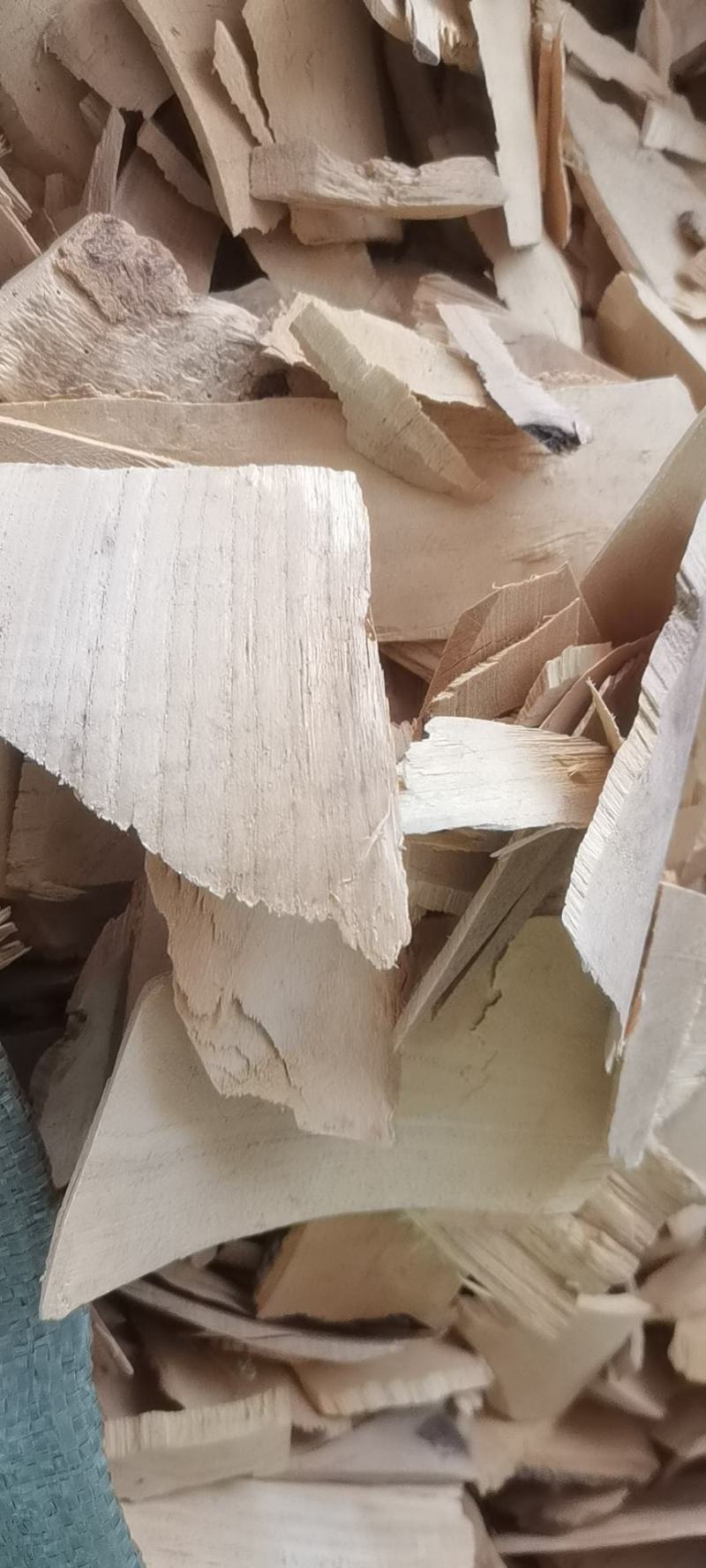 野生中药材木患根，洗手果树根，批发零售冷背中药材