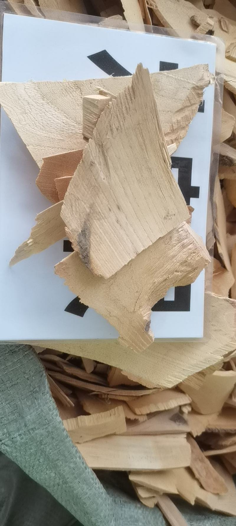 野生中药材木患根，洗手果树根，批发零售冷背中药材