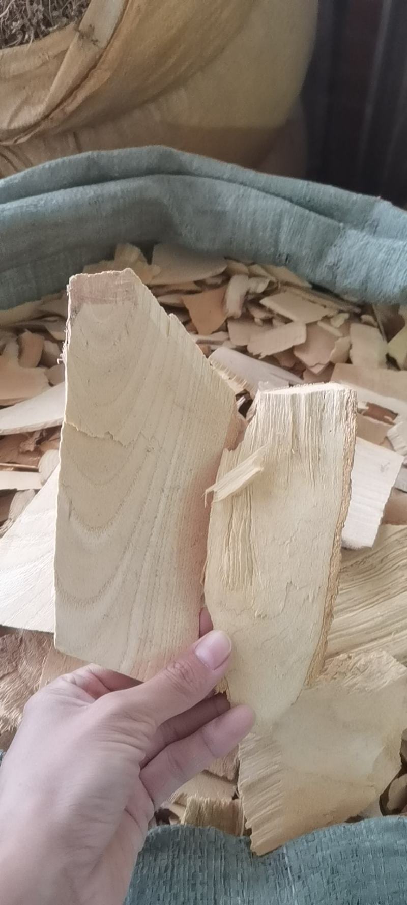 野生中药材木患根，洗手果树根，批发零售冷背中药材