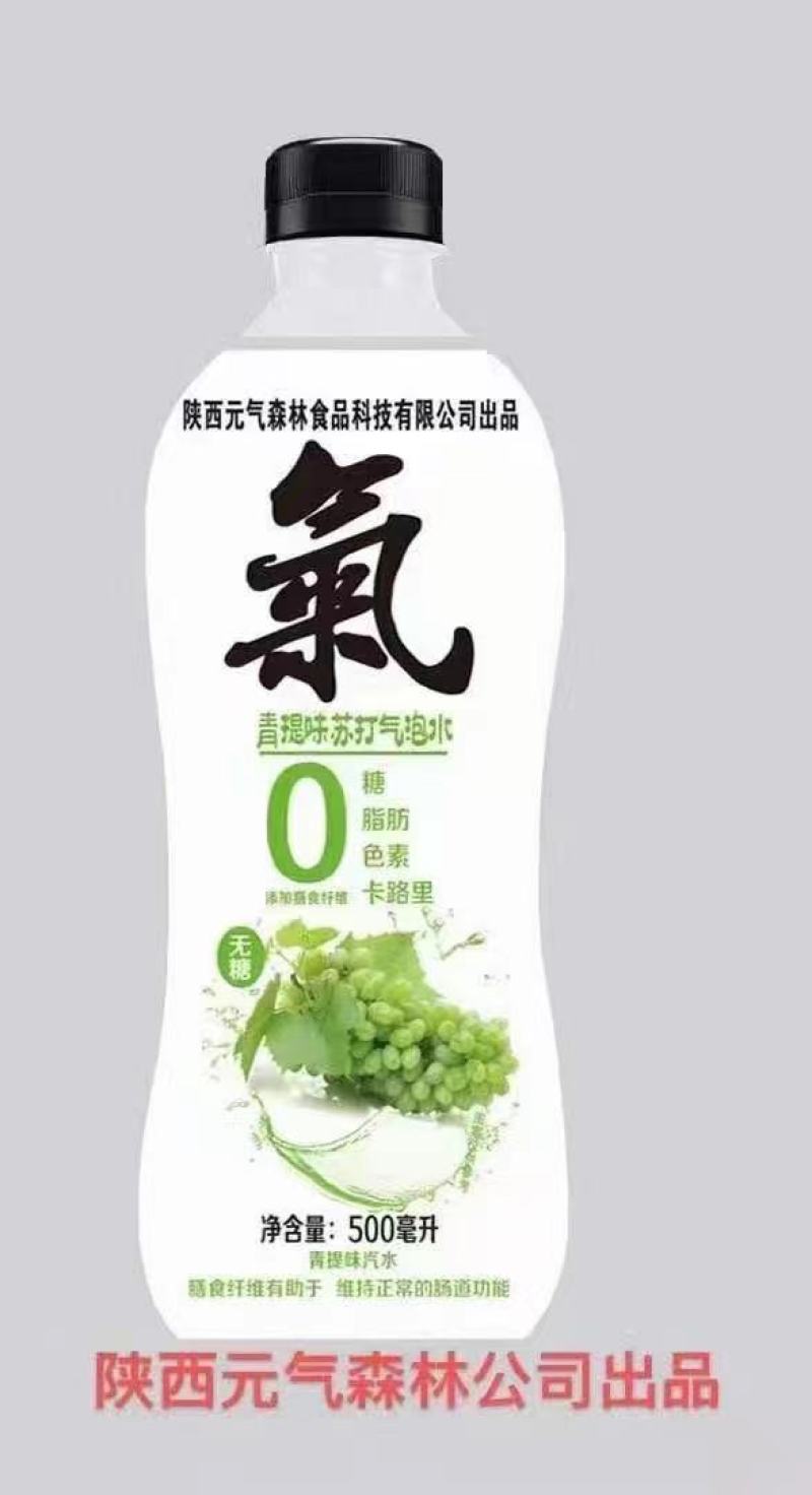 陕西元气森林苏打气泡水5个口味火热招商中