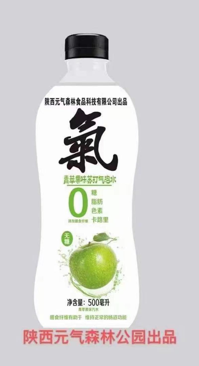 陕西元气森林苏打气泡水5个口味火热招商中
