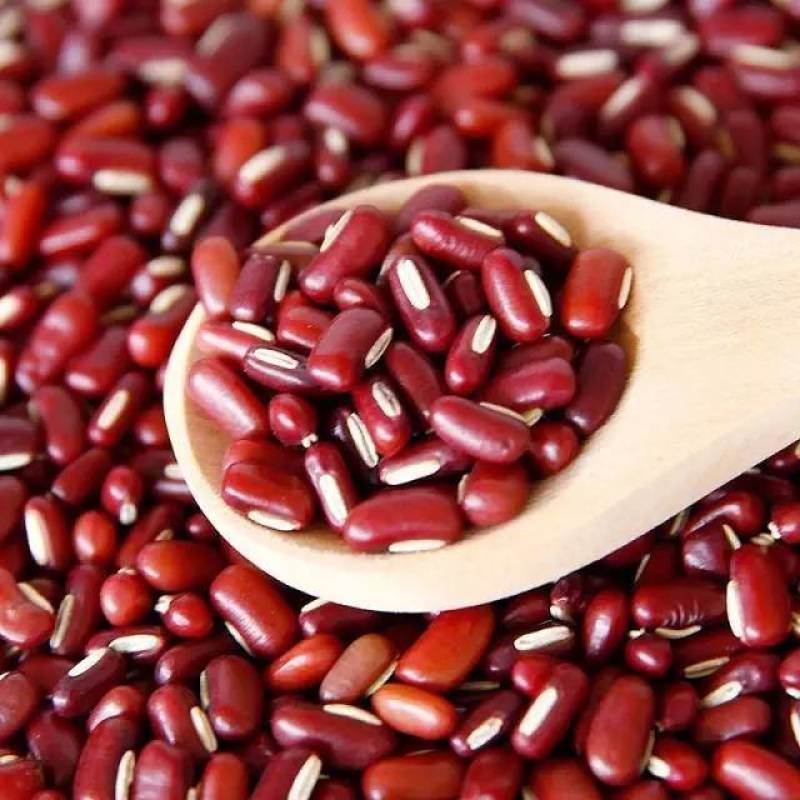 赤小豆熬粥磨粉厂家直销量大从优