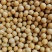 黄豆高蛋白大豆可做豆浆豆腐腐竹厂家直销量大从优