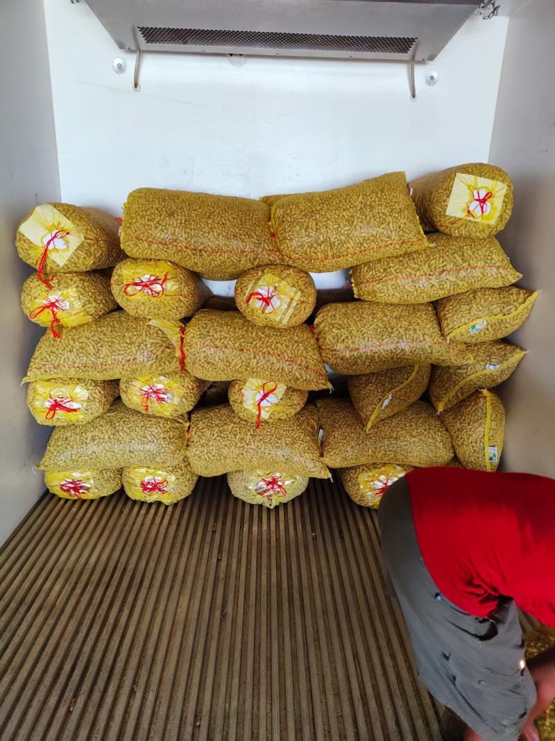 精选四粒红鲜花生，过筛子手选果，籽粒饱满，直供，超市市场