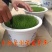 草坪草籽四季常青免修剪护坡马尼拉狗牙根黑麦草皮种子孑庭院