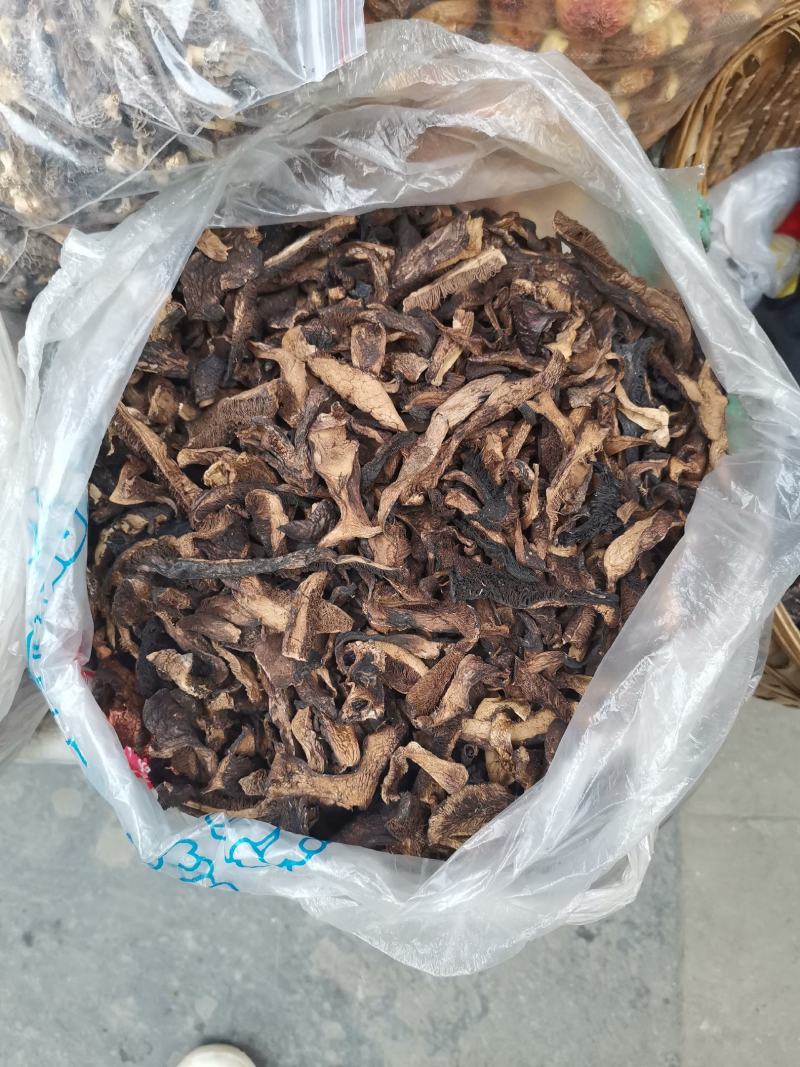 虎掌菌(省内包邮)