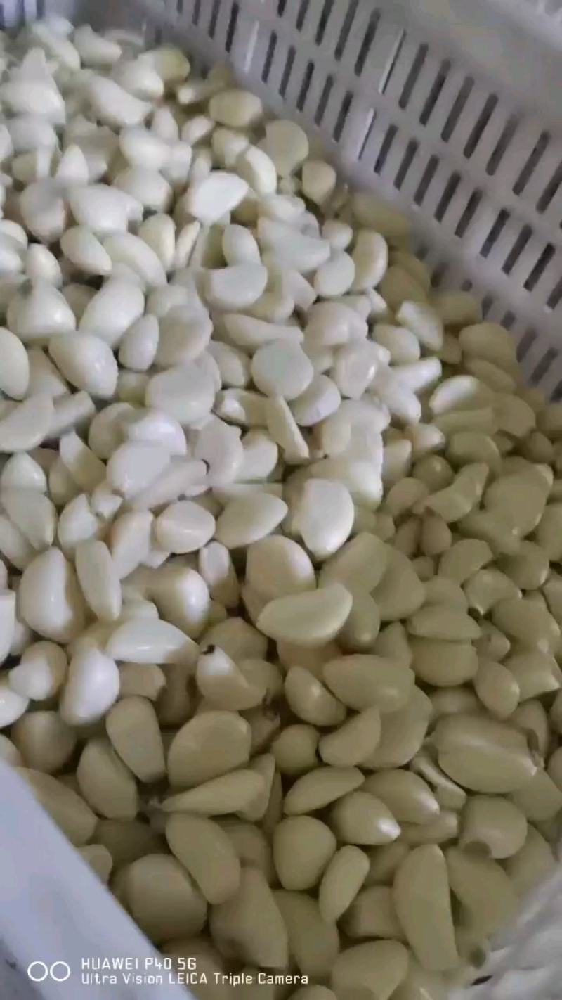 优质杂交机打精品小包装保鲜蒜米产地直供！