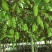 赣南八月瓜种植紫宝3号甜度高品相好，相当好