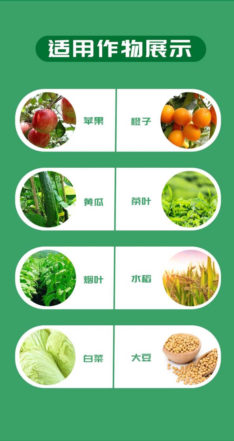 九一时代9.1%甲维盐吊丝虫抗性蓟马抗性菜青虫杀虫剂农药