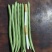 小金豆