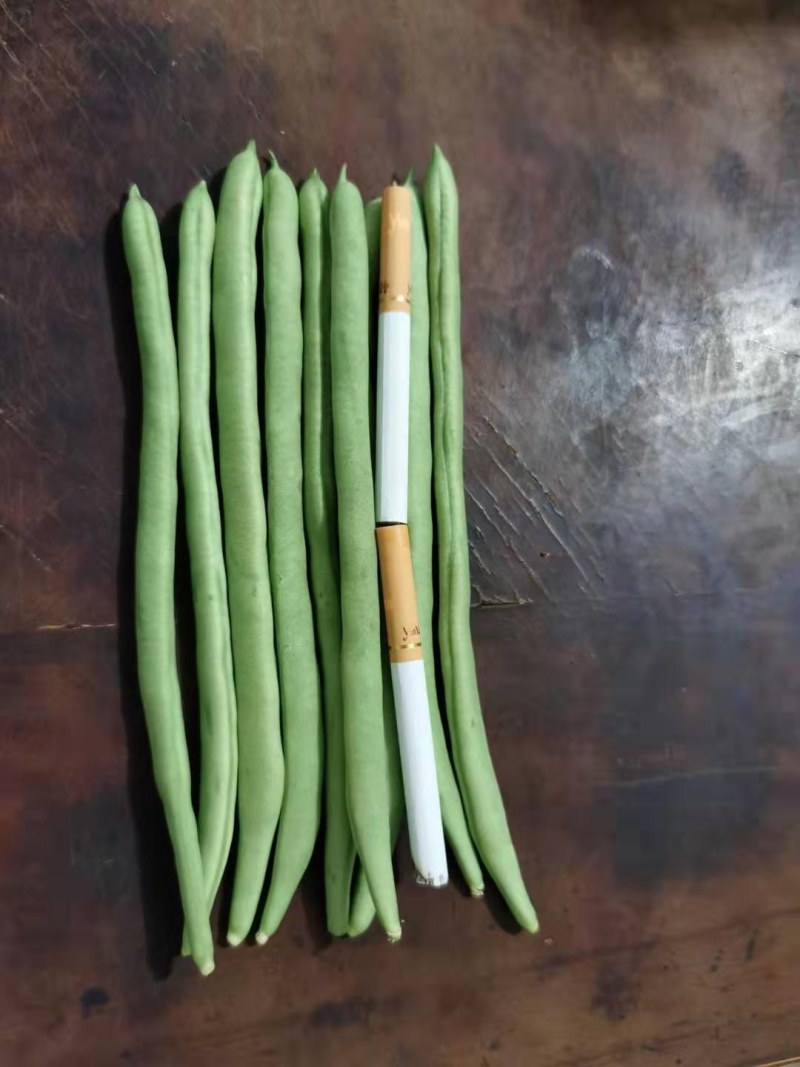小金豆