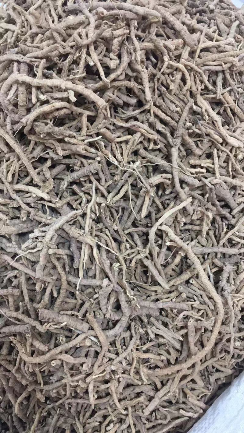 远志中药材抽芯远志泡茶泡酒原料新货无