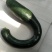 菜北瓜