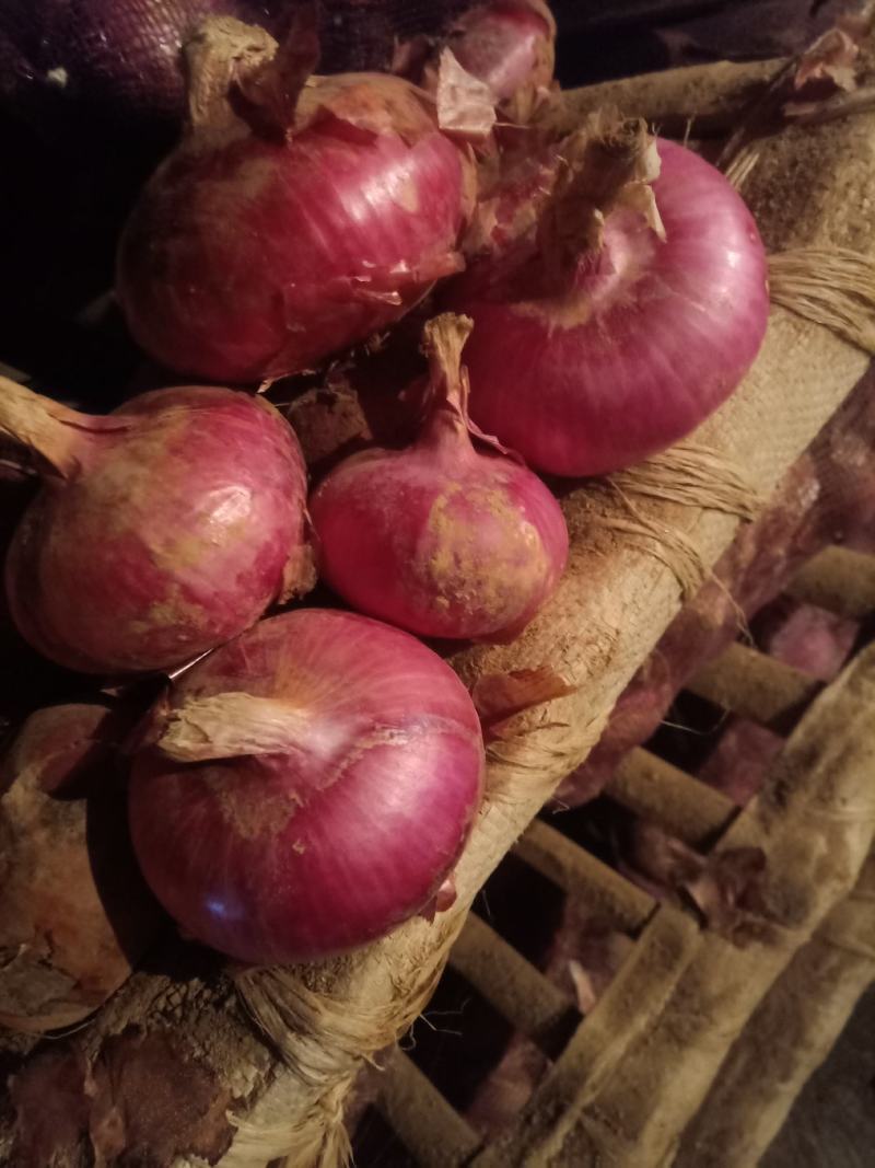 聊城二红洋葱，比白菜便宜