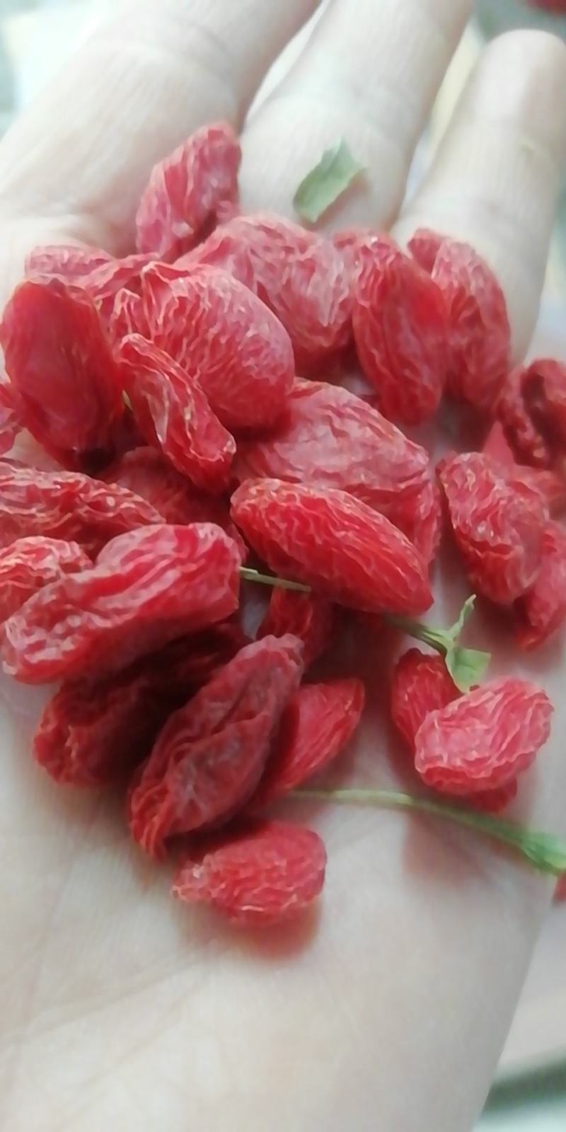 新疆原生态红枸杞，一级，颗粒饱满，肉紧实，味道甜，