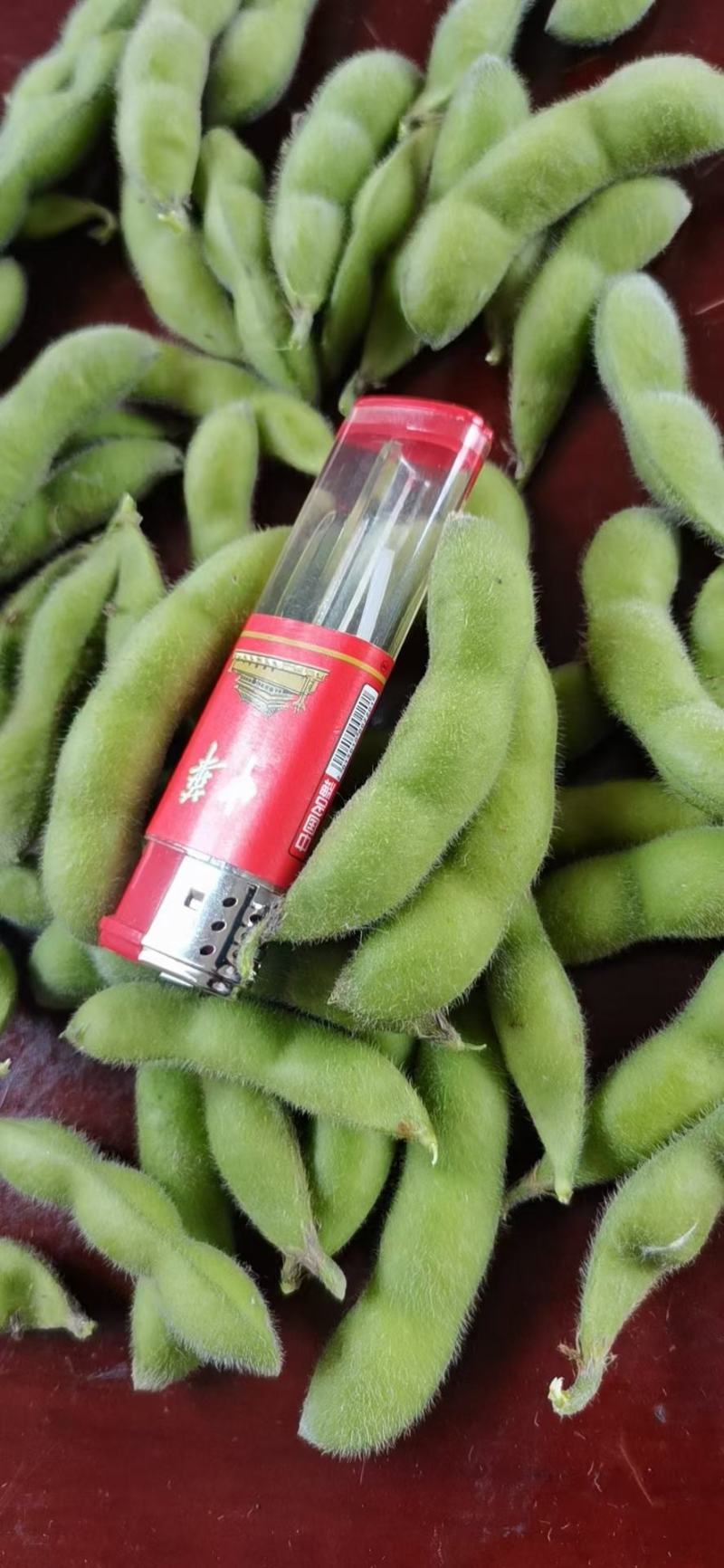 【毛豆】精品翠绿宝开心绿绿宝石品种齐全量大从优