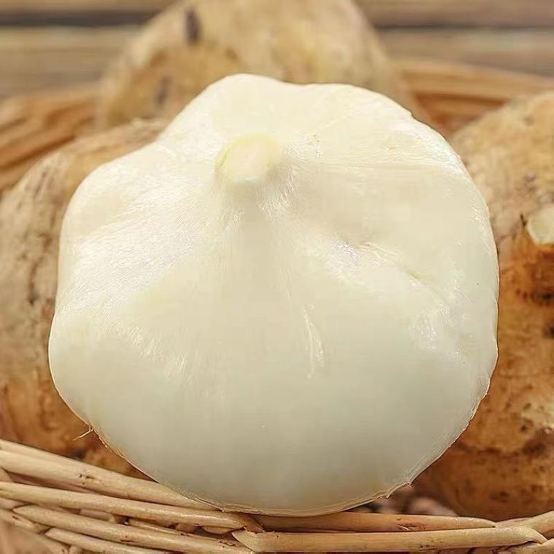 【包邮-40斤凉薯】热销20斤40斤新鲜凉薯豆薯