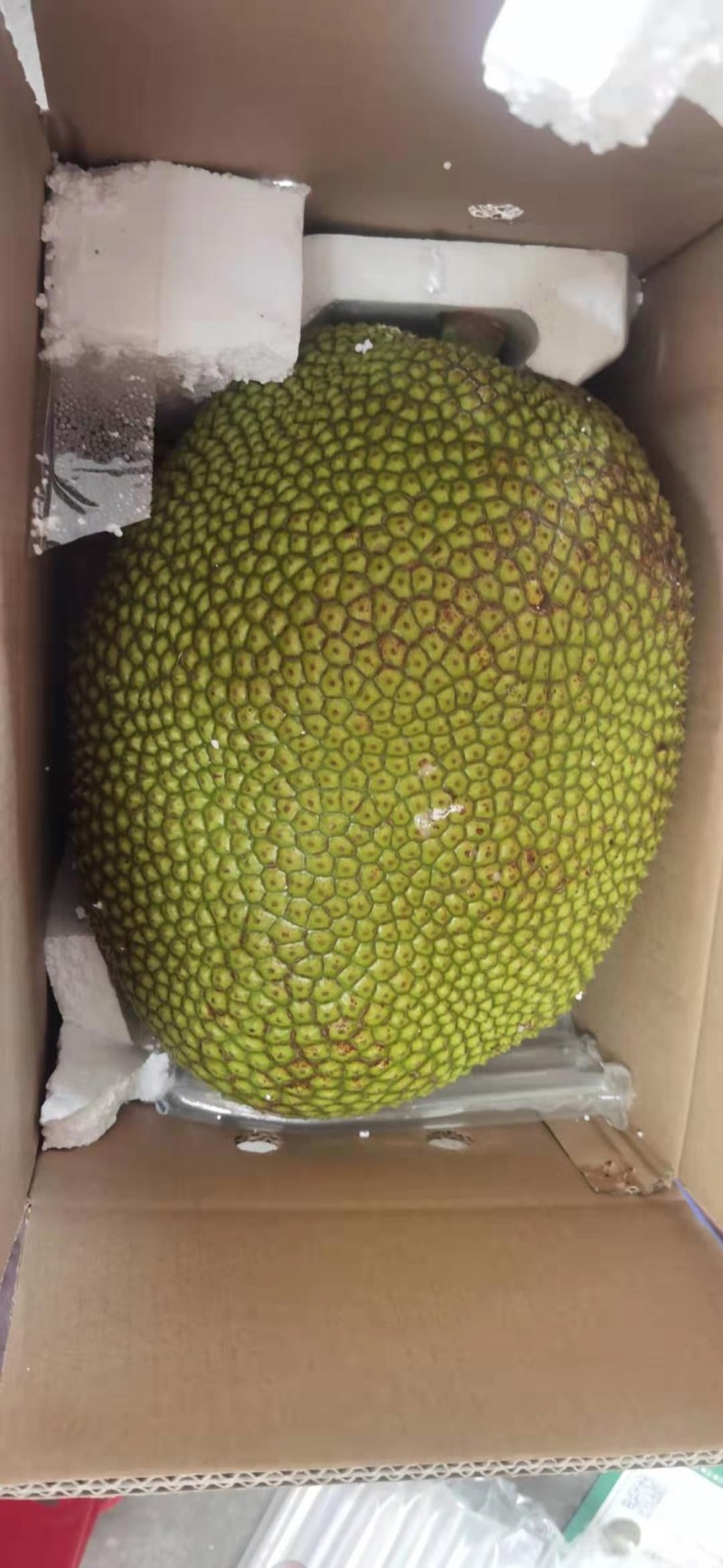 菠萝