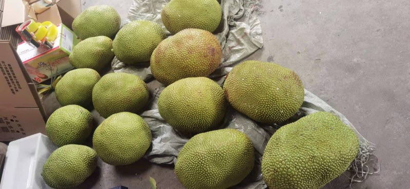 菠萝