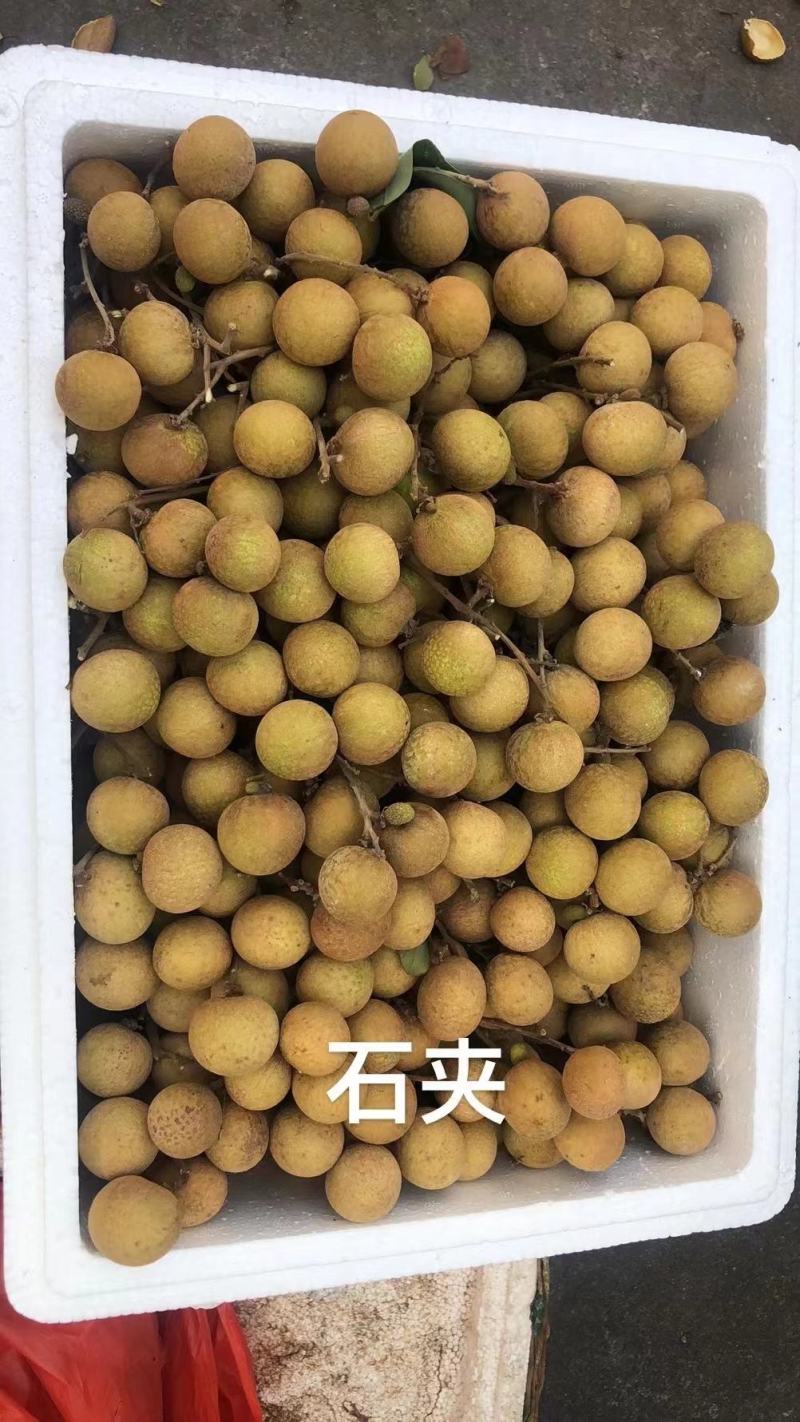 龙眼