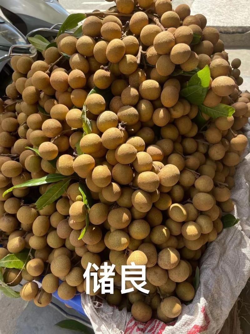龙眼