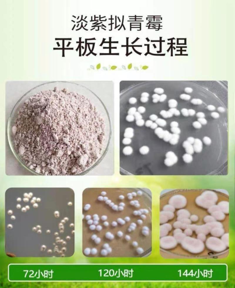 （微生物菌剂）包邮，专治根结线虫，厂家直发