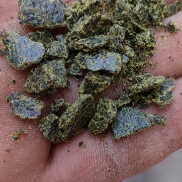 常年大量供优质菜饼