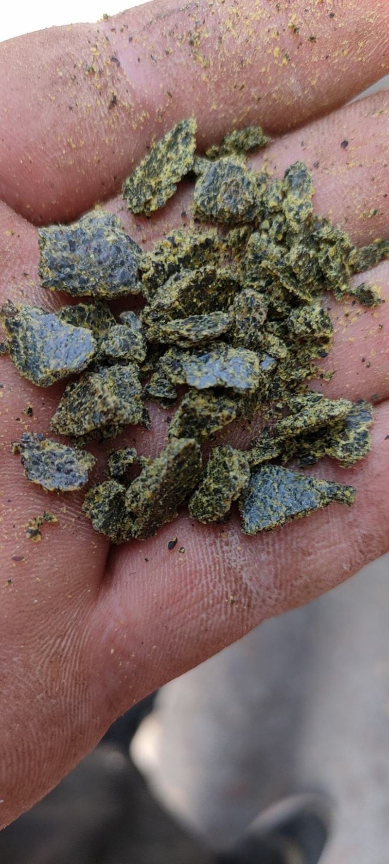 常年大量供优质菜饼
