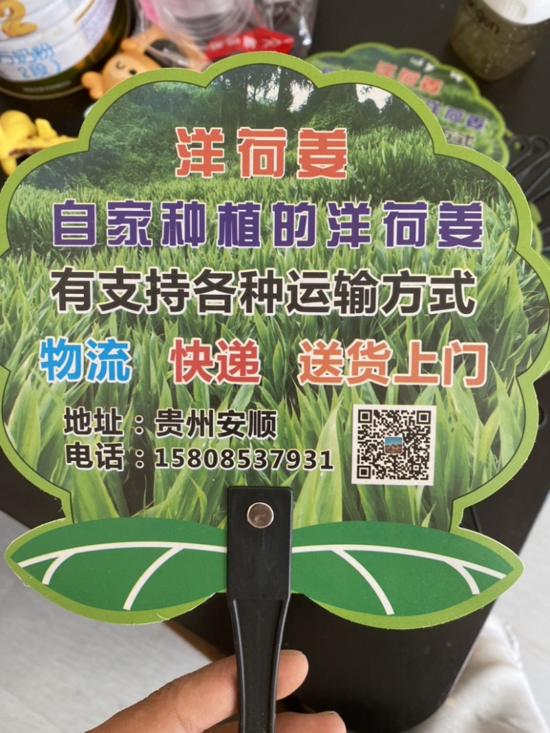 贵州安顺西秀区洋荷姜，价格便宜，保证新鲜，可以视频看货