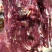 贵州原生态小黄牛肉，生态放养，自然美味，全部新鲜宰杀保鲜