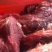 贵州原生态小黄牛肉，生态放养，自然美味，全部新鲜宰杀保鲜