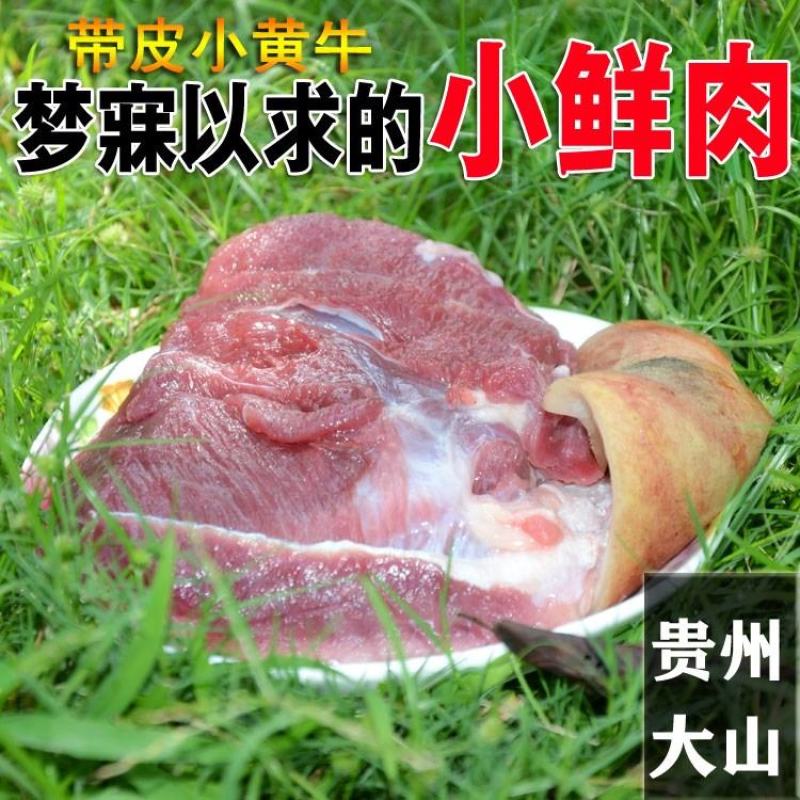 贵州原生态小黄牛肉，生态放养，自然美味，全部新鲜宰杀保鲜