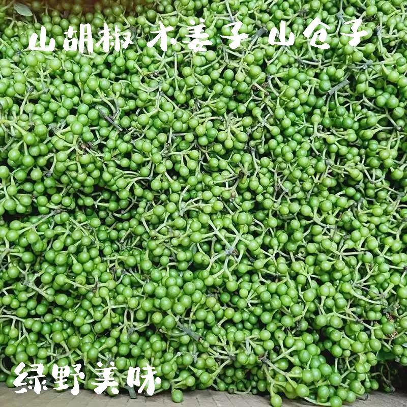 山胡椒新鲜木姜子山仓子现摘现发大量供应量大价优