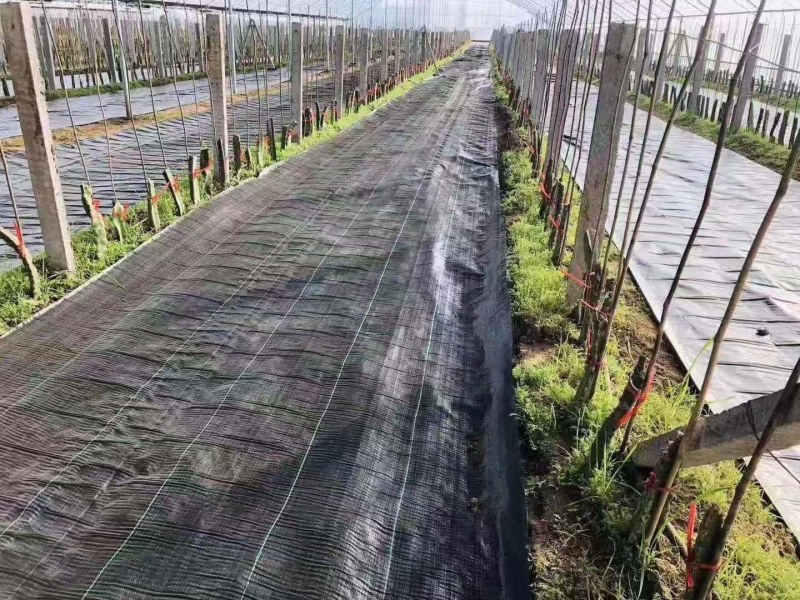 防草布除草布盖草地布