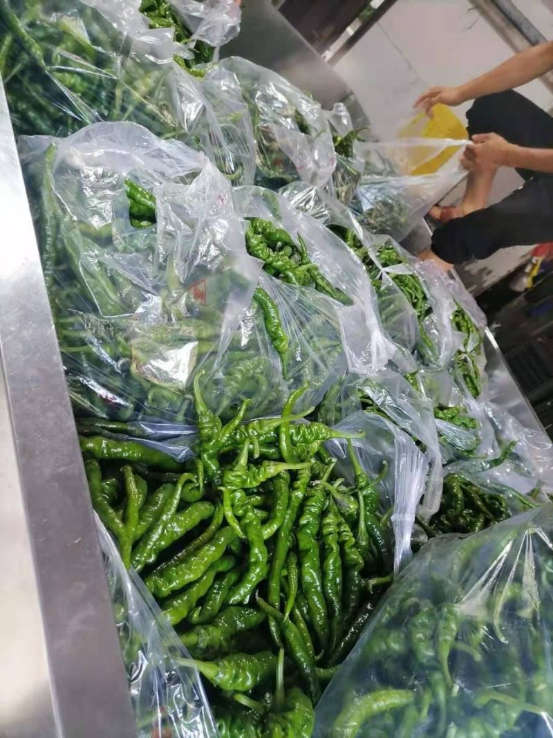辣椒出售
