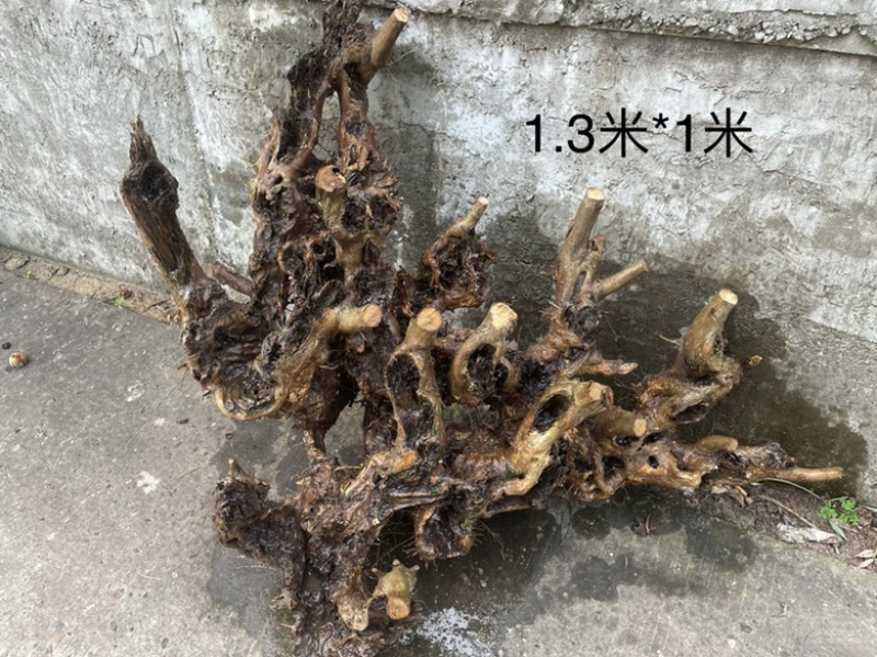 黄荆下山桩