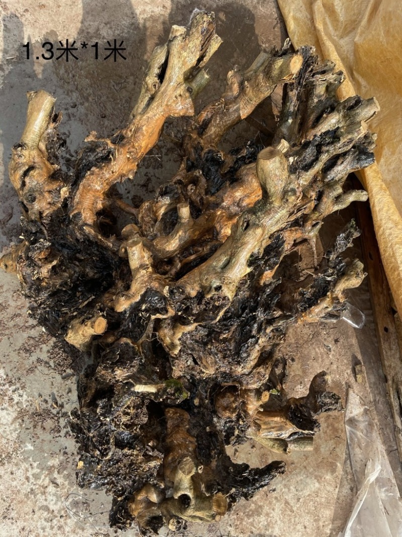 黄荆下山桩