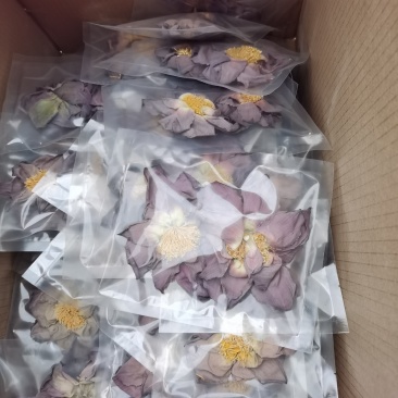 荷花茶，整朵，袋装一手货源荷叶茶、桑叶茶