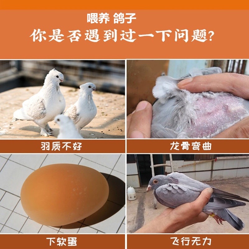 贝壳粉饲料补钙禽用鸡鸭鹅鸽子产蛋助消化饲料添加剂